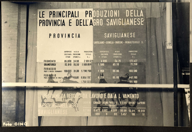 175.jpg