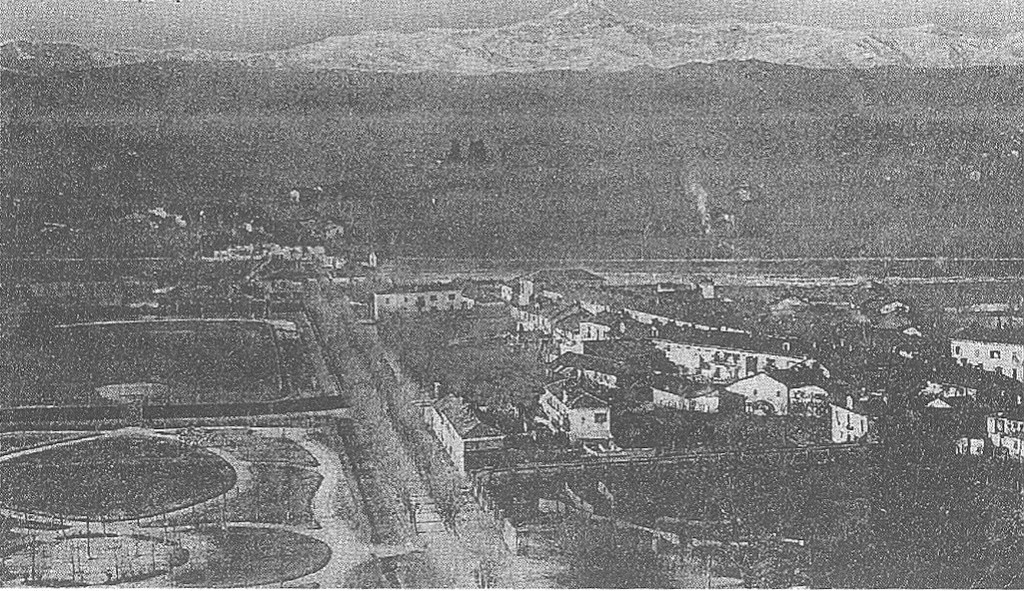 rubricaIlSaviglianese0145