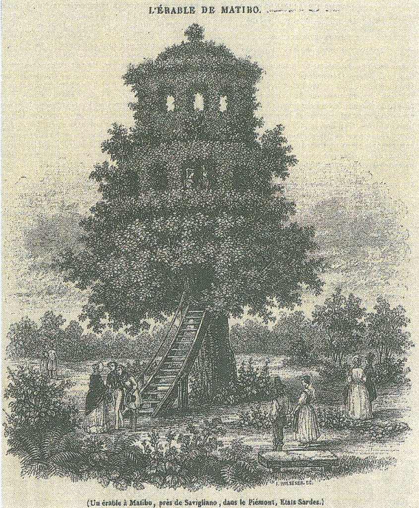 rubricaIlSaviglianese0208