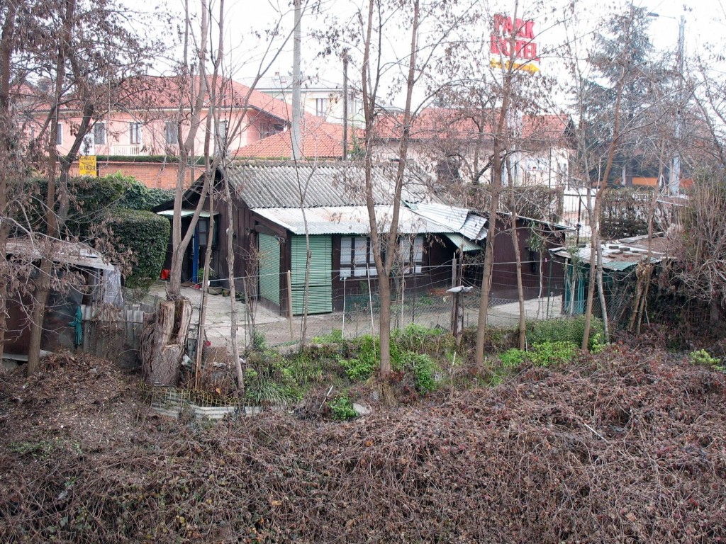 saviglianosparita53